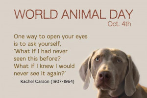 World-Animal-Day-Quillcards-ecard