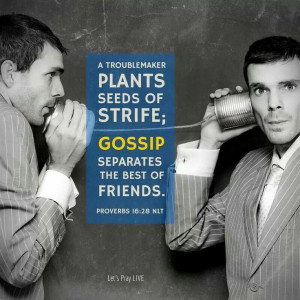 troublemaker plants seeds of Strife, Gossip separates the best of ...