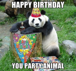 happy birthday animal funny