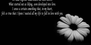 Tiny Houses & Tiny Homes