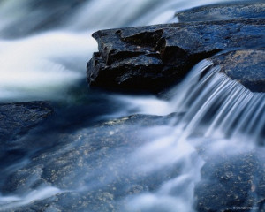 Funny Quotes Contact Dmca...