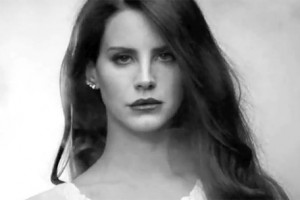 Funny Quotes Contact Us DMCA Notice