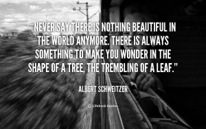 Albert-Schweitzer-never-say-there-is-nothing-beautiful-in-42997.png ...