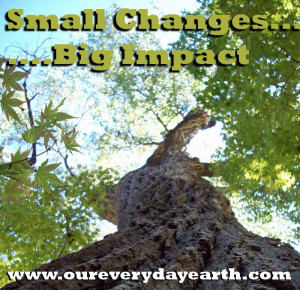 small change big impact quotes