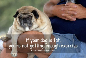 ... your dog is fat, you're not getting enough exercise Picture Quote #1