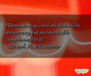 Bureaucracy is not an obstacle to democracy but an inevitable ...