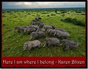 Amazingly quite often when Visitors come to Uganda to go on Safari ...