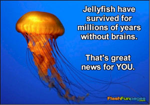 FUNNY JELLYFISH QUOTES image gallery