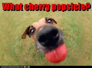 The DAILIES: Say it ain't so (Read 49 times)