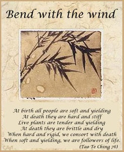 tao te ching. Be Like WATER... flow! Be like the Willow tree...BEND ...