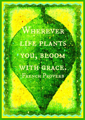 Wherever life plants you, bloom with grace. French Proverb. 