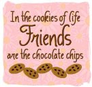 Friends are the Chocolate Chips 5x7 only