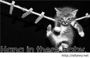 Funny hang in there pictures, situations and quotes funny picture