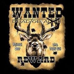 Funny Deer Hunting Quotes | Artist Picture Of A Funny Deer | Search ...