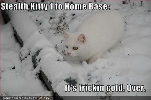 Cute and Funny Pictures and more