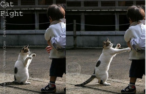 funny.desivalley.com/cat-kid-fight-funny-picture/][img]http://funny ...