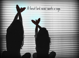 bird, cage, cute, hands, photography, quote, shadows, typography