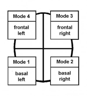 jung's four functional types - definitions