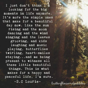 ... -for-the-big-moments-in-life-sc-lourie-quotes-sayings-pictures.jpg