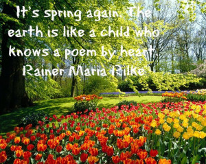 The beauty of spring.