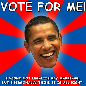 Text: VOTE FOR ME! I MIGHT NOT LEGALIZE GAY MARRIAGE, BUT I PERSONALLY ...