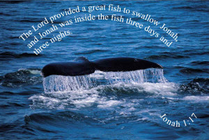 Now the LORD had prepared a great fish toswallow up Jonah. And Jonah ...