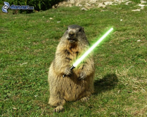 marmotte , sabre laser , Star Wars , parodie