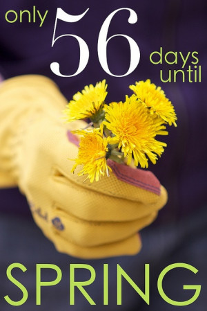 Counting down the days! #garden