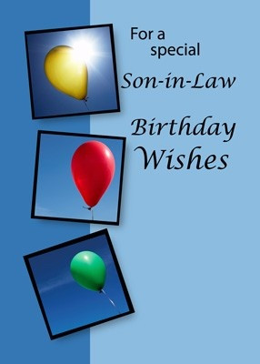Son-in-Law, Birthday