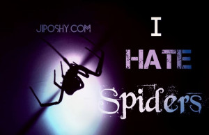 ... BITE FROM A BLACK WIDOW REALLY KILL YOU? #Hate #Sayings #Quotes #