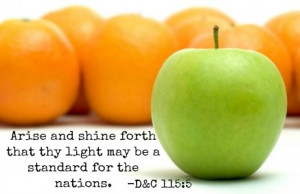 LDS Missionary Work Quotes