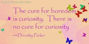 The Cure For Boredom Is Curiosity