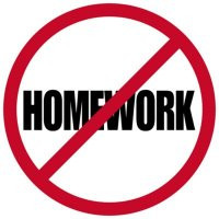 Do you like doing homework?