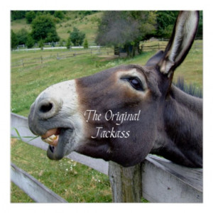 The Original Jackass Funny Donkey Mule Farm Animal Posters