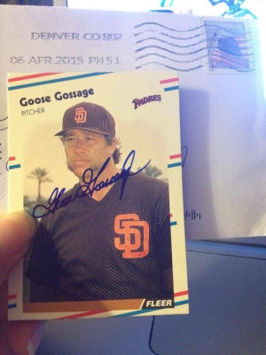 Quotes by Goose Gossage