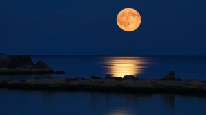 The full moon is a time of positive opportunity if you use it ...