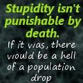 stupidity on deviantart laurell k hamilton # quotes # books ...