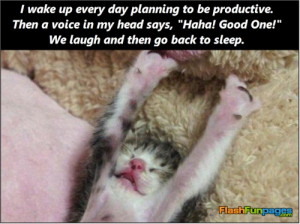 Tags: funny ecards , good morning ecards