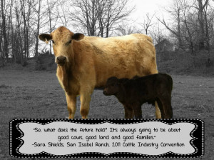 cattle quotes