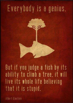Don't Judge a Fish