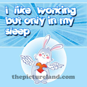 Cute Bunny Picture With Funny Sayings