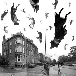 11 Funny Foreign Sayings