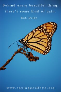 Butterfly #Beautiful #Pain #Loss #Grief #Journey #Quote #Dylan # ...