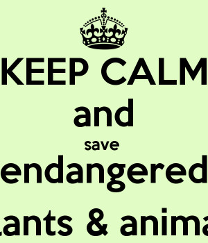 Nobody has voted for this poster yet. Why don't you?