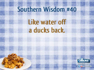 Southern Words of Wisdom #40, compliments of a truly southern company ...