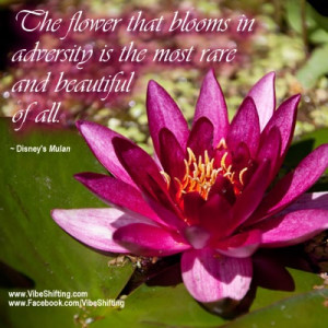 ... Disney's Mulan http://www.facebook.com/VibeShifting #quotes #adversity