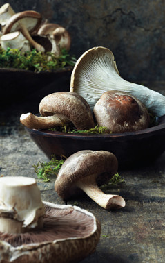 Steve Krug who always make food styling feel like the making of art