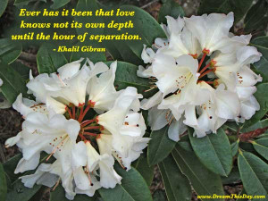 Wise Quotes about Separation