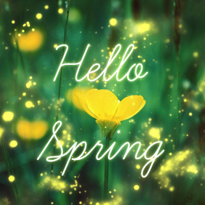 Hello Spring 600x600 Colour Your Wardrobe for Spring
