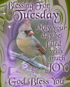 Have a blessed Tuesday! ♥